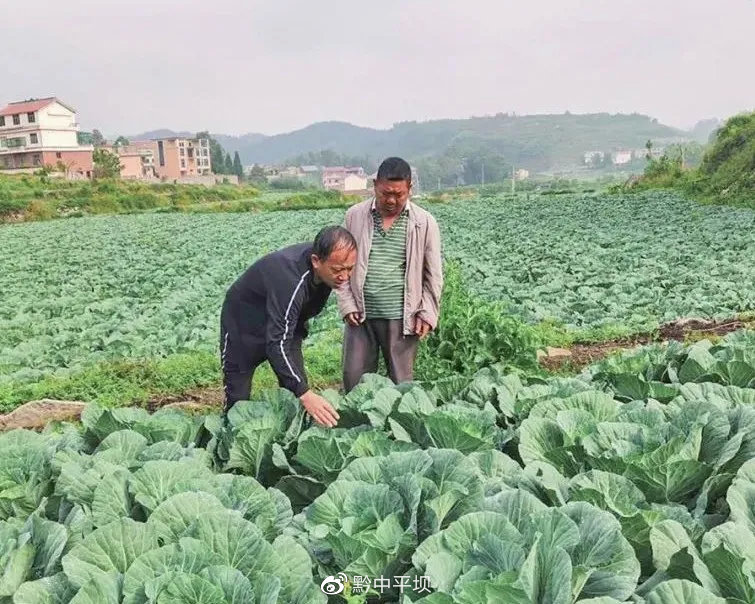 左文学（左）带领群众探索出“合股联营、村社一体”的塘约模式让曾经贫困的塘约村变成了乡村振兴的典范
